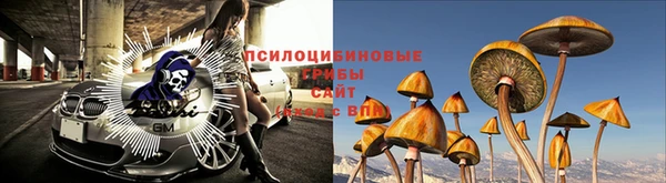 марки nbome Аркадак
