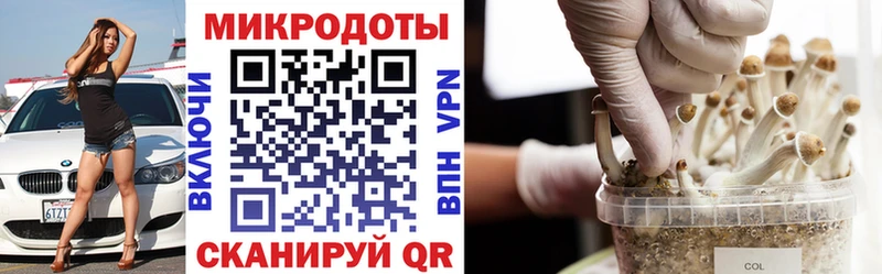 blacksprut   Фролово  Псилоцибиновые грибы прущие грибы 