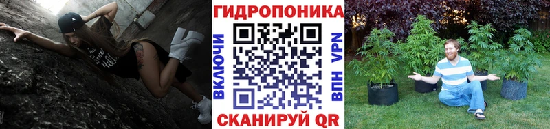 Канабис Amnesia  купить наркоту  Фролово 